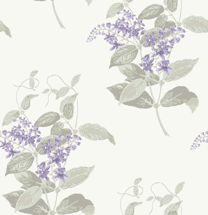 Madras Violet