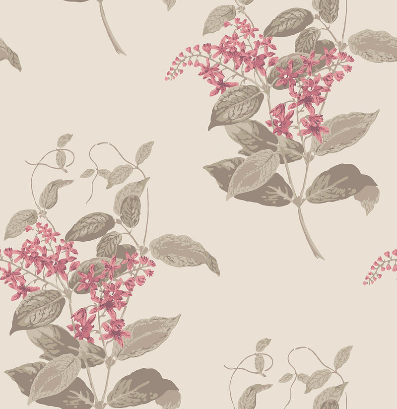 Madras Violet
