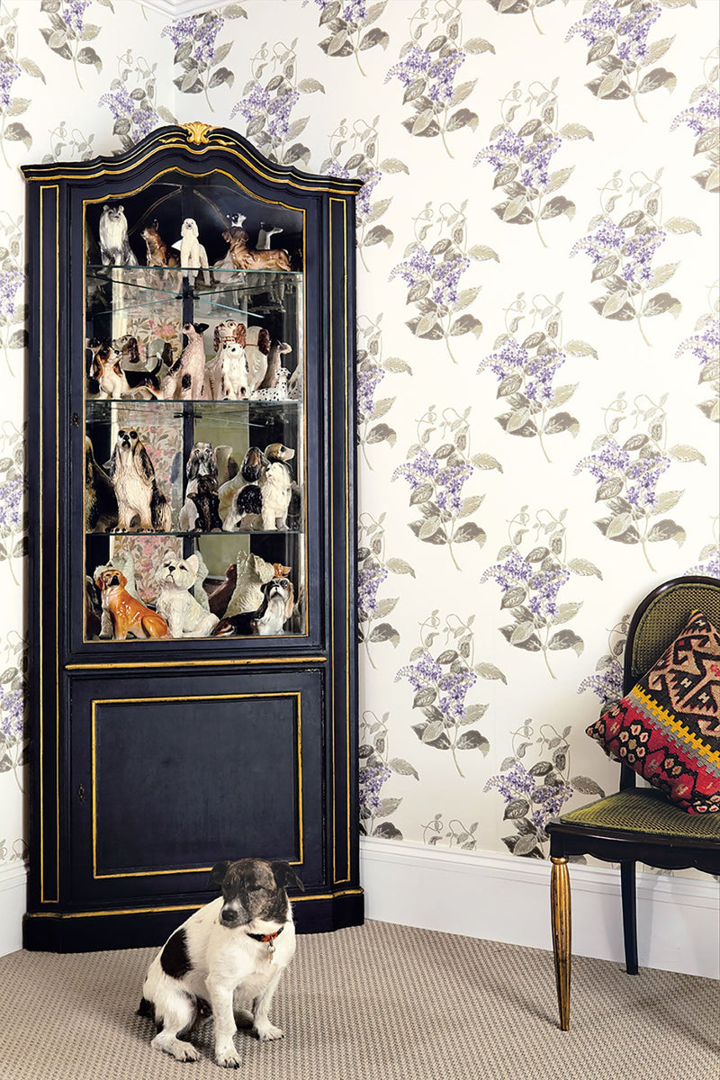 Madras Violet