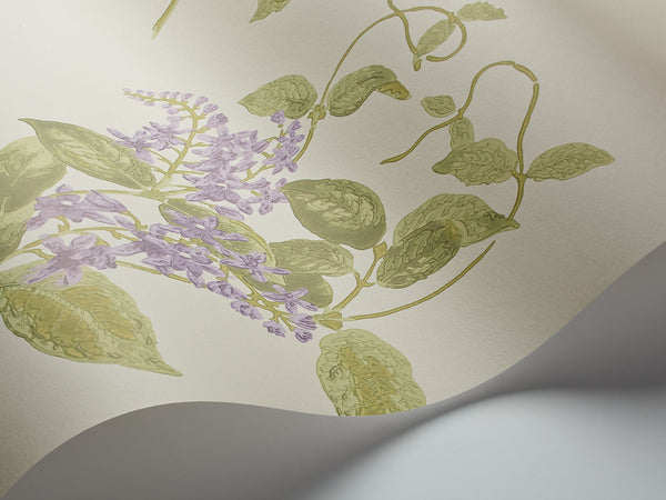 Madras Violet