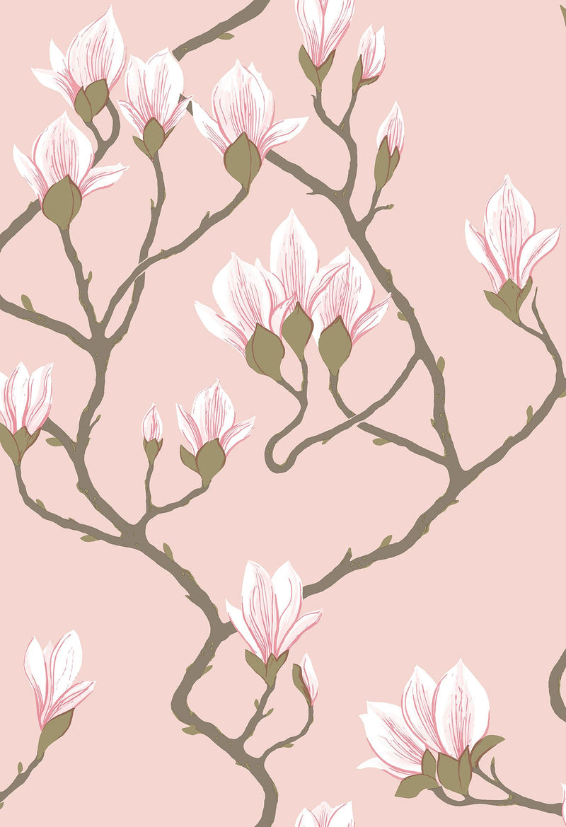 Magnolia