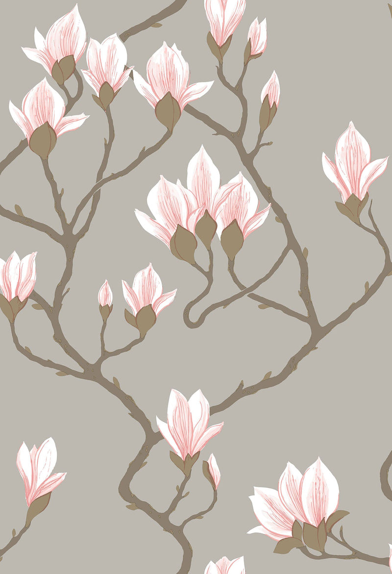 Magnolia