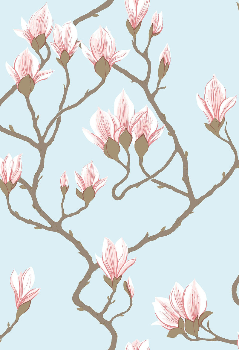Magnolia