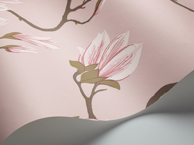 Magnolia