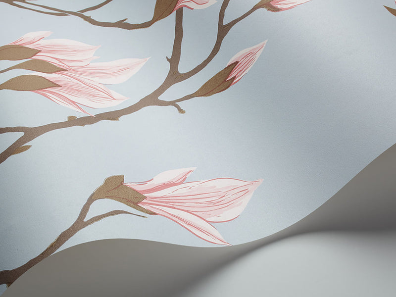Magnolia