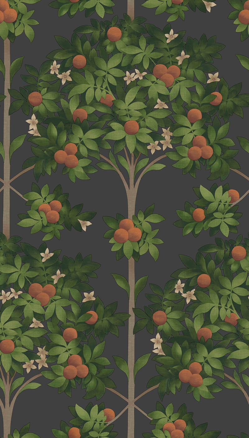 Orange Blossom