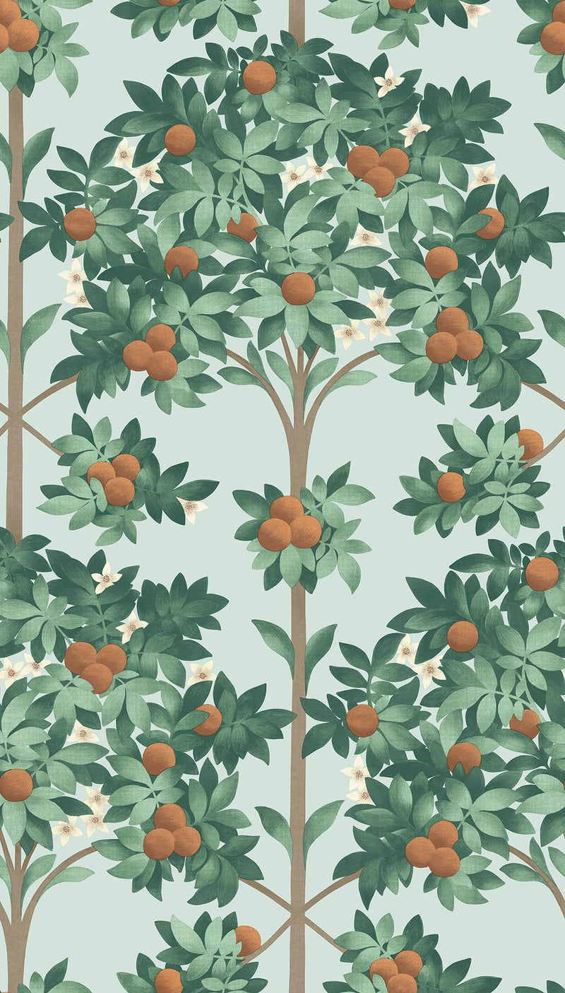 Orange Blossom