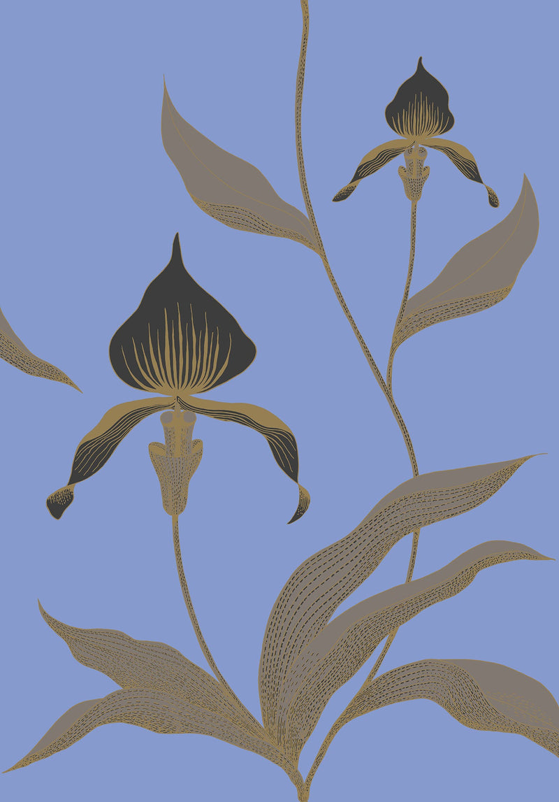 Orchid