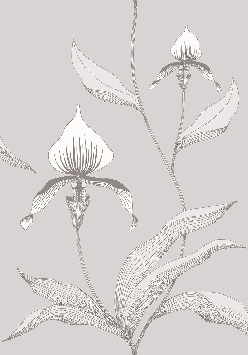 Orchid