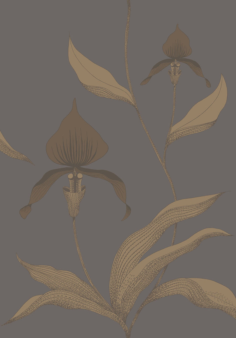 Orchid
