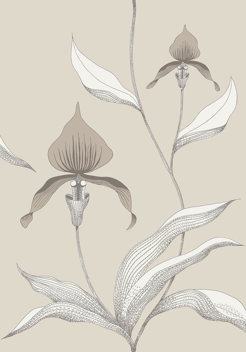 Orchid