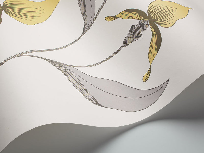 Orchid