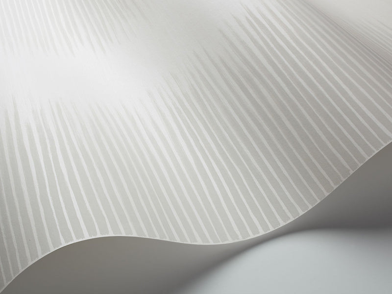 Plume