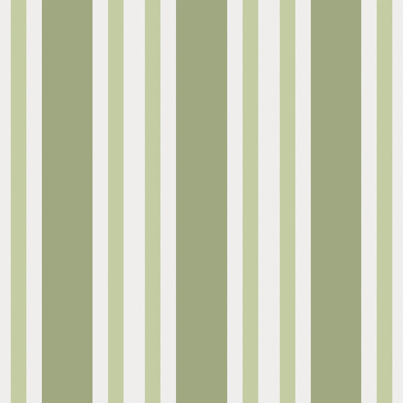 Polo Stripe