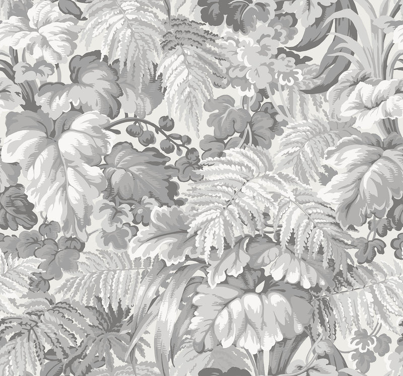 Royal Fernery