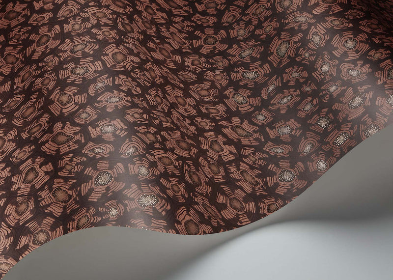 Savanna Shell