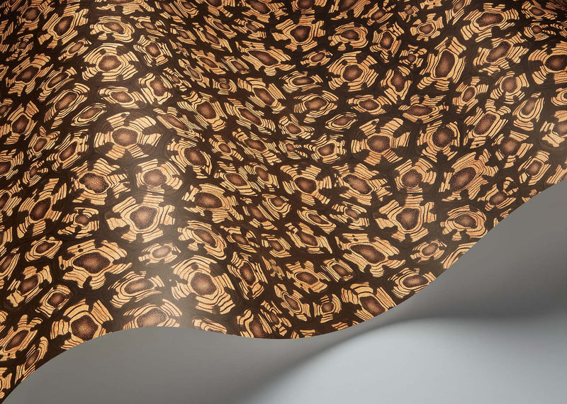 Savanna Shell