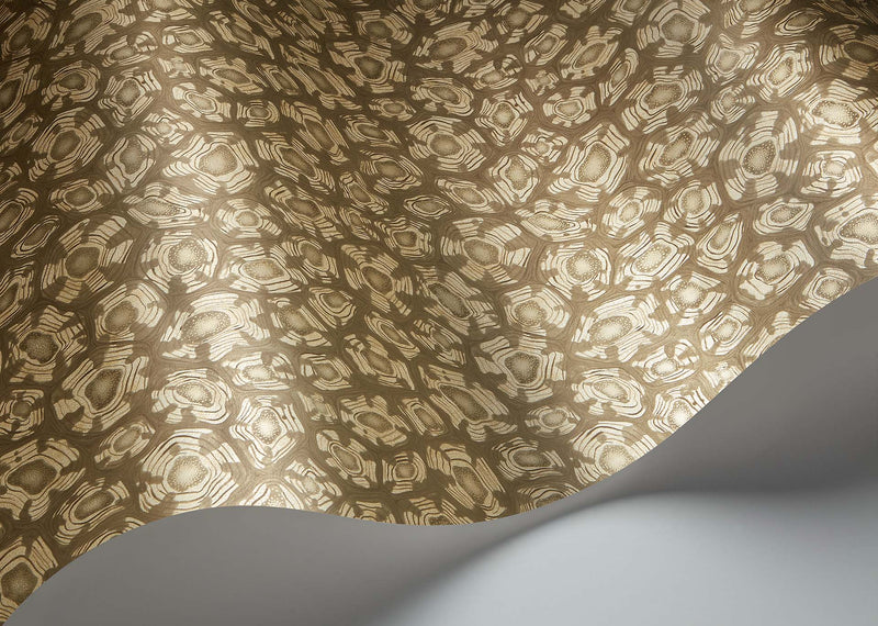 Savanna Shell
