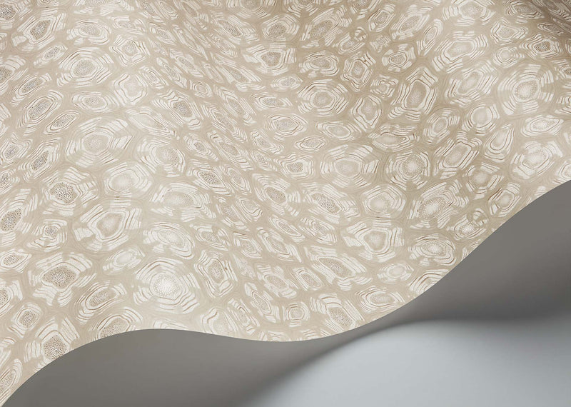 Savanna Shell