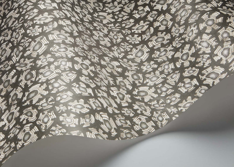 Savanna Shell