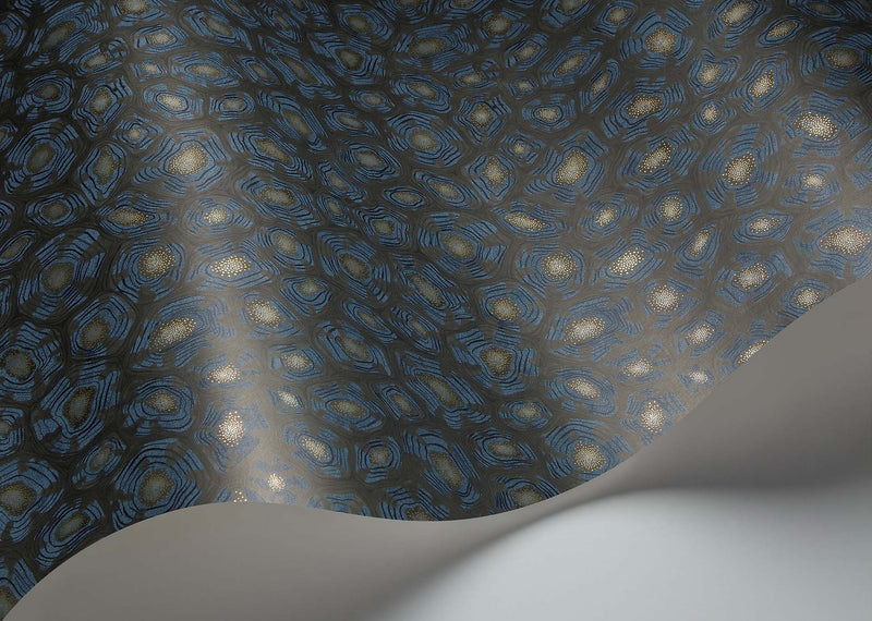 Savanna Shell