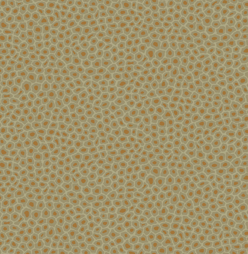 Senzo Spot