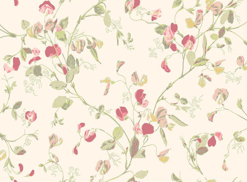 Sweet Pea Archive Anthology