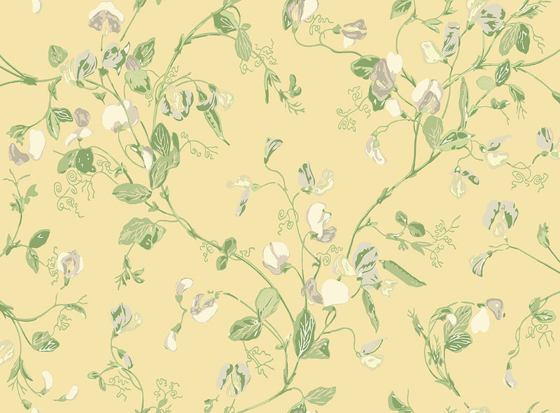 Sweet Pea Archive Anthology