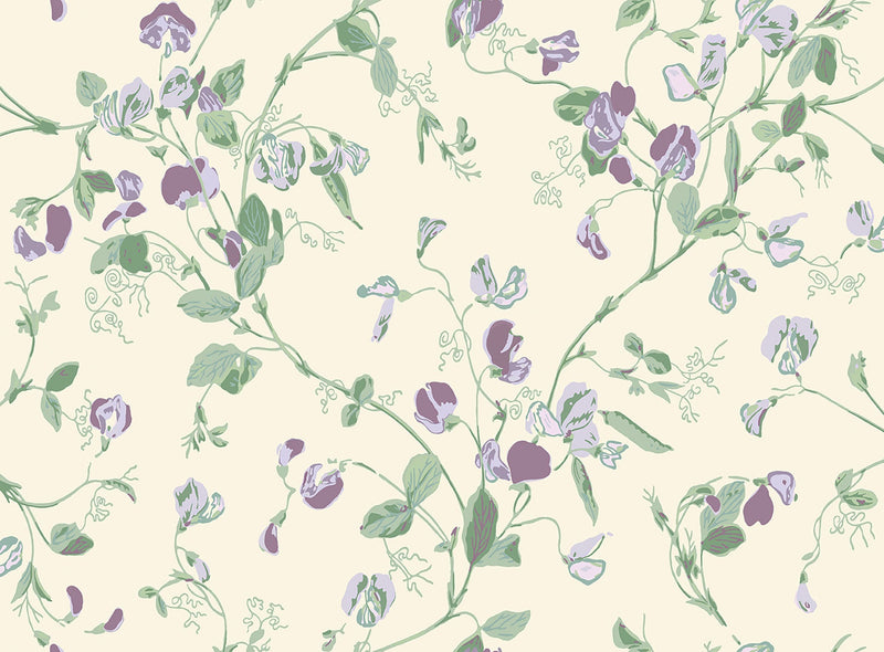 Sweet Pea Archive Anthology