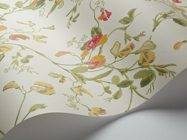 Sweet Pea Archive Anthology