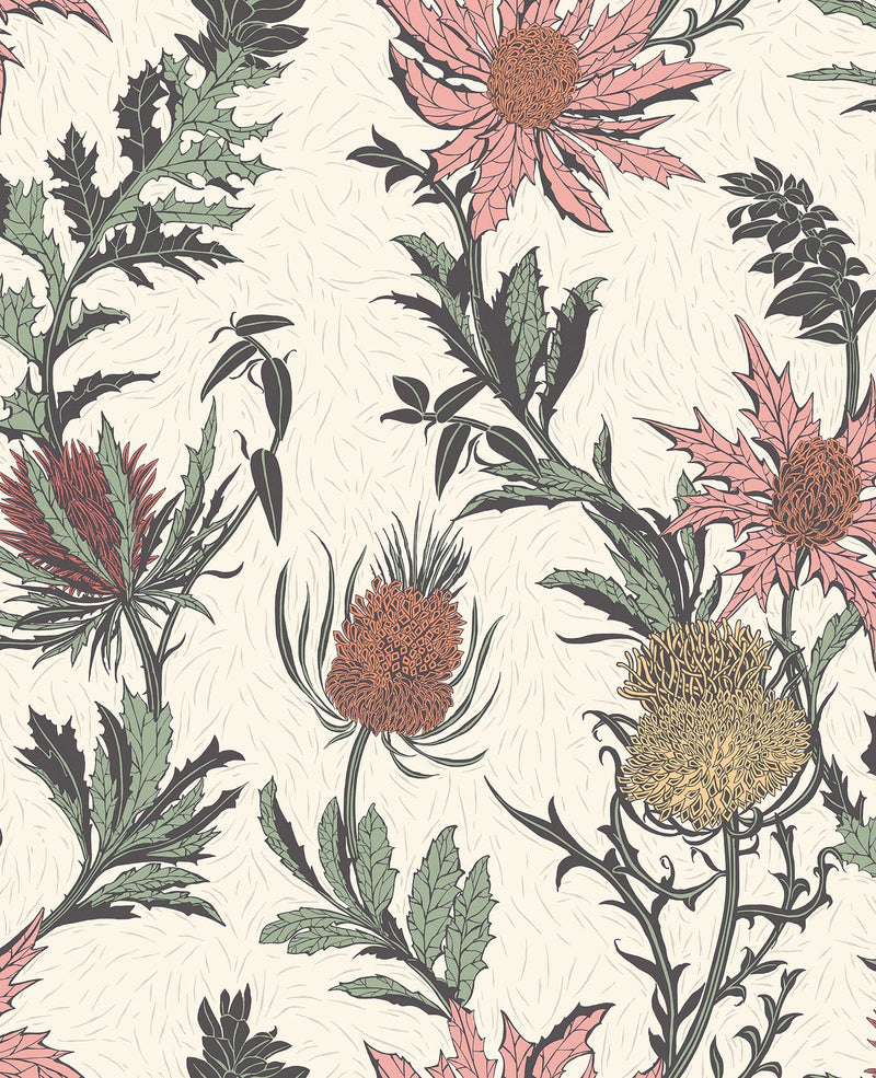 Thistle