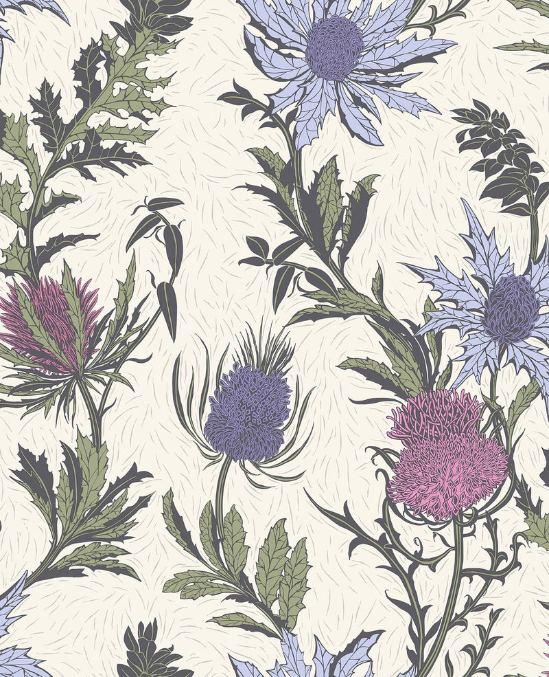 Thistle