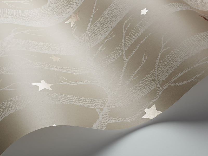 Woods & Stars