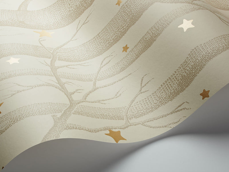 Woods & Stars