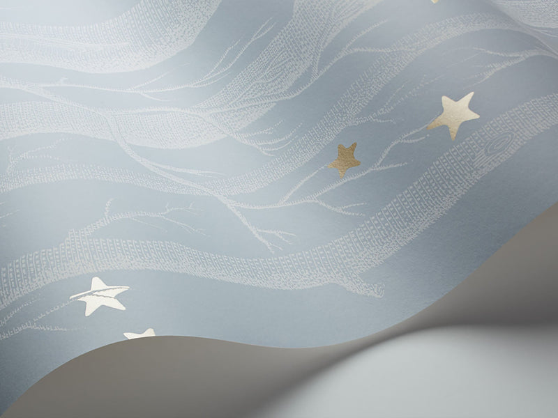 Woods & Stars