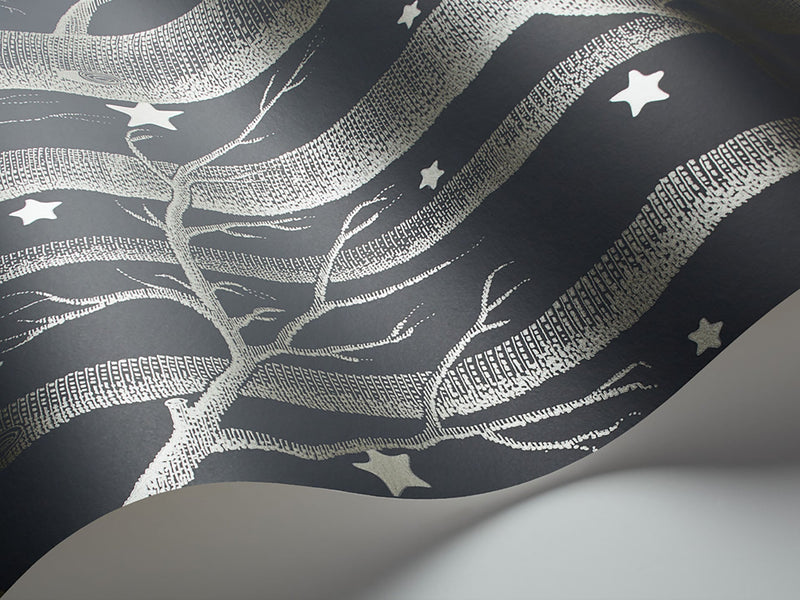 Woods & Stars