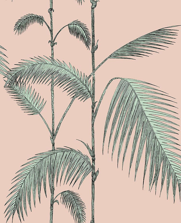 Palm Leaves Icons