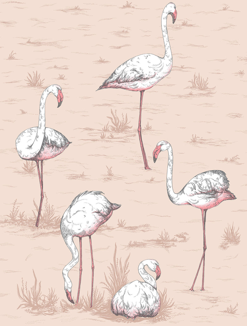 Flamingos Icons