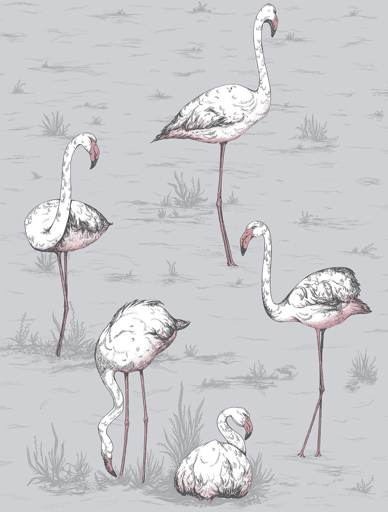 Flamingos Icons