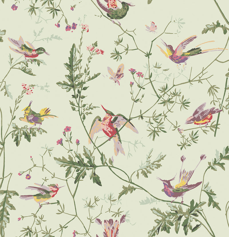 Hummingbirds Archive Anthology