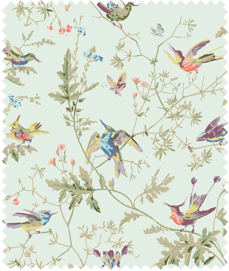 Hummingbirds Cotton